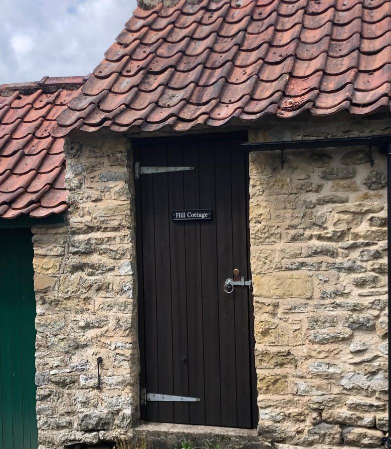 Hill Cottage, Thornton-Le-Dale Thornton Dale Eksteriør billede
